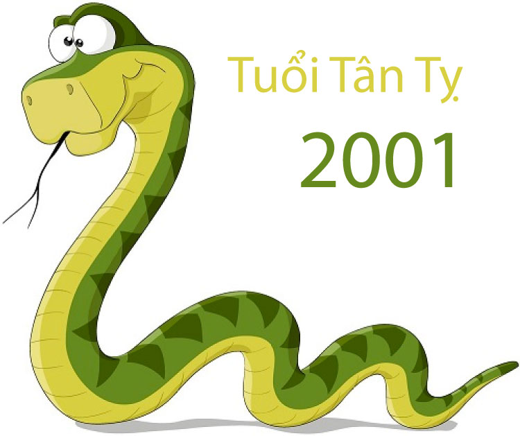 Sinh năm 2001 sẽ mang tuổi Tân Tỵ tức tuổi con rắn